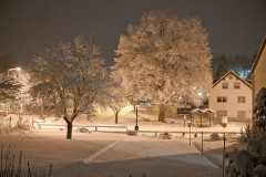 2010-12-19-0049
