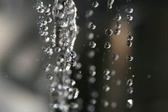 IMG_6385