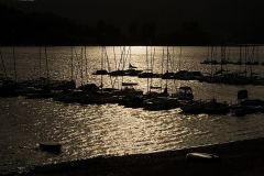 IMG_6967