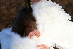 IMG_7387